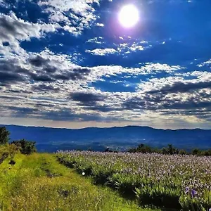 Casa Chianti Appartamento Mercatale Val Di Pesa
